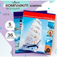 A set of notebooks of 5 pieces, 36 sheets in the Calligrata “yachts” cage, cover coated cardboard, block No. 2, whiteness 75% (gray sheets)