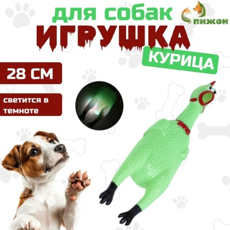 Brying toy "Bluming chicken" for dogs, 28 cm, green