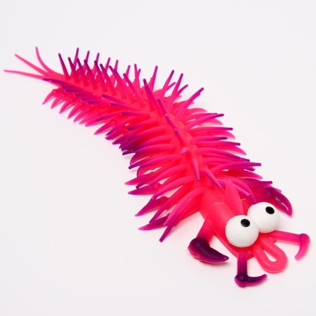 Anthistress Mollusias "Multicapons", in Showbox-1
