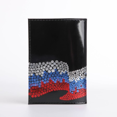 Cover for passport, black color-1