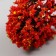 Artificial plant for creativity plastic "Autumn foliage" 12 cm