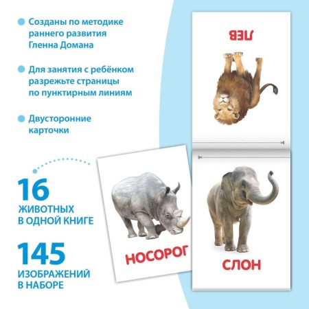 Books "Doman's cards on the paper clip", set, 8 pcs. 20 p.-1