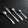 Set of dining room "Triumph", 24 items, thickness 2 mm, souvenir box, silver color