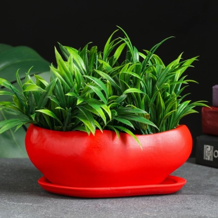 Bonsai Pot Bonesi, 0.6 l/14x18 cm