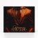 Gift laminated package, packaging, “best man”, ML, 25 x 21 x 8 cm