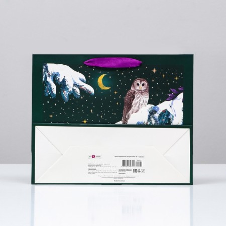 Gift package "Owl in the night", 32 x 26 x 12 cm-1