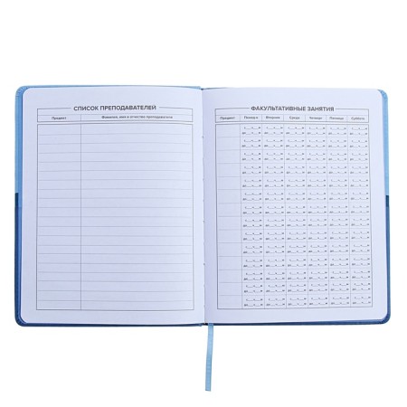 Universal Diary Grade 1-11, 48 sheets "Blue", a solid cover made of artificial leather, pancake embossing, Lasasse-6