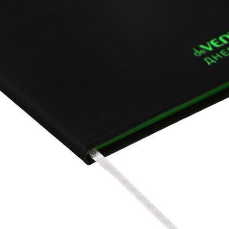 Universal diary for grade 1-11, solid cover, artificial leather, foil embossing, liesse, 80 g/m2-3