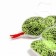 Soft toy "snake" on a suspension, 16 cm, green color
