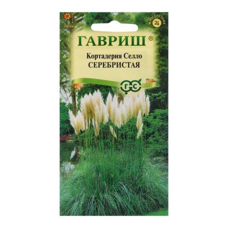 Silver Cortaderia Seeds "Pampas Grass", 8 pcs-4