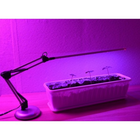 Herberry phytosvetnel "Alamak" for drilling colors and growing seedlings 60cm-7