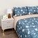 A set with a blanket duet Sofi de Marko "Massimo", size 230x250 cm, 150x220 cm - 2 pcs, 50x70 cm - 2 pcs
