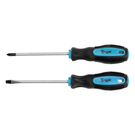 A set of screwdrivers of tundra, satin, magnet, two -component handles, PH1 and SL5 x 100 mm, 2 pcs.-1