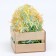 Paper filler, summer mix, 1000 g