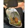 Protective cape on the back of the car seat "Lion Freightness"