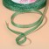 Brocade tape, 6 mm, 23 ± 1 m, green color No. 41