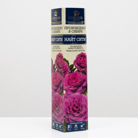 Sahenian Rosa Knight City Spring 2024, 1 pc.