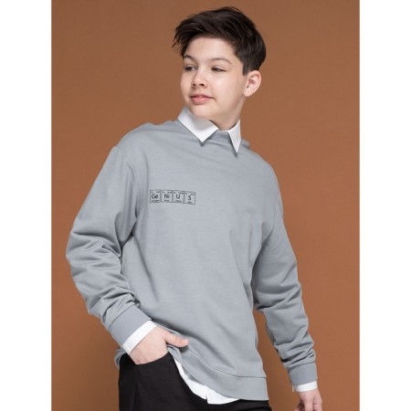 Sweatshirt for boys, height 116 cm, gray color