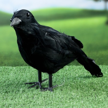 Figure "Raven" 27x8x17cm