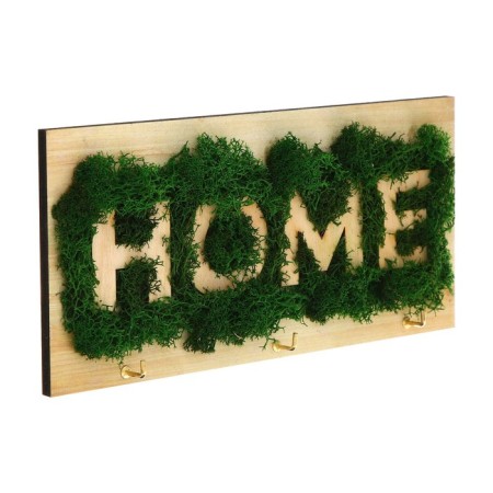 The keyrean is wall -mounted with moss "Home".-4