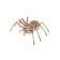Wooden designer 3D "Spider (Spider)"