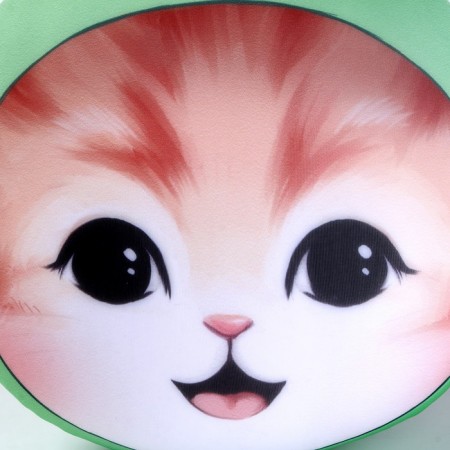 Antistress Pillow "Cat Forture"-4