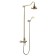 Lemark Villa lm4860b shower system, tropical shower, shower, brass, bronze