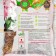 Soil for Effect+™ orchids, 1 liter