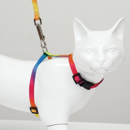 A set for cats "Rainbow", width 1 cm, Osh 16.5-27, OG 21-35 cm, leash 120 cm-2