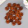 Decorative buttons "Round", wood, walnut color, 20 mm (set 24 pcs)
