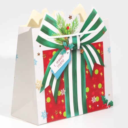 Package Gift "Gift", 25 x 26 x 10 cm, New Year-2