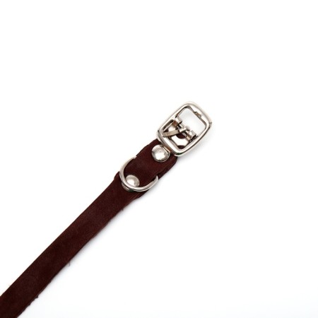 Single-layer leather collar, 30 x 1 cm, Osh 19-27 cm, brown-4