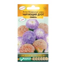 Flower seeds Astra thick -rock 