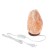 Salt lamp Ergopower ER 501, 220 V, 15 W, 2-3 kg