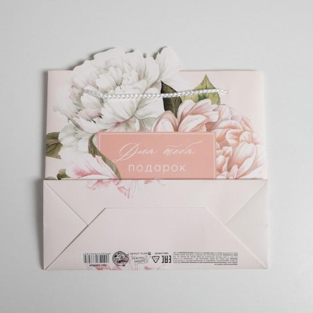 Gift package, packaging, “Gift for you”, 25 x 26 x 10 cm-4