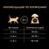 Dry food Pro Plan Elegant for cats, for wool and skin, salmon, 1.5 kg
