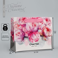 Gift laminated horizontal package, packaging, “happiness is waiting for you” 22 x 17.5 x 8 cm