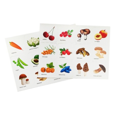 Board developing game "Smart Sorter" Fruits, Berries, Vegetables, Mushrooms "-7
