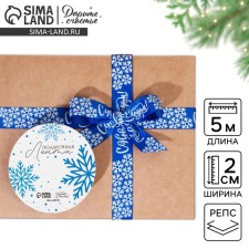 Decorative repression tape “Happy New Year!”, Blue, 2 cm × 5 m