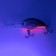 Namazu HippoCampus L -60 mm, 18 g, KRANK, floating, 2.5 - 4.5 m, color No. 5