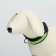 Collar with backlight Flash 3 glow modes size m, Osh 40-48 x 2.5 cm Green