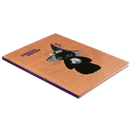 Diary solid cover 1-11 grade 48 sheets, "Iskra", cover cardboard 7BC, glossy lamination, cheat sheet-1
