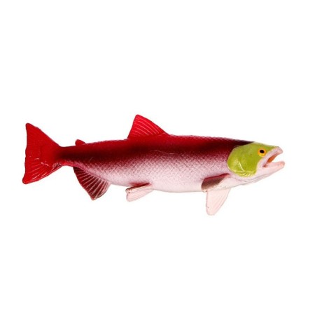 Training set "Stages of fish development" 5 figures-9