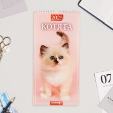 Calendar on the Collte Cabinet of 2025, 16.5 x 34 cm