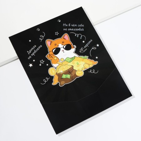 Envenue for money, a birthday card "Congratulatory", with a cat, 6 sheets, 16.3 x 21.3 cm-13