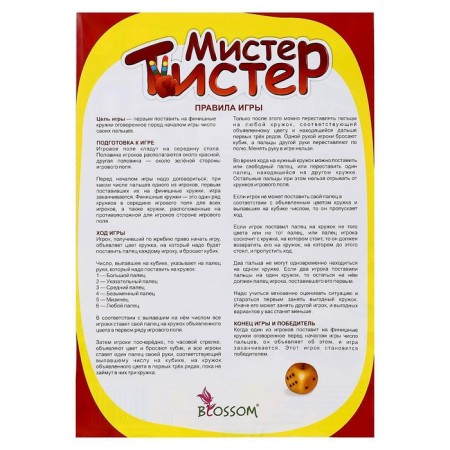 Board game "Mr. Twizer"-3