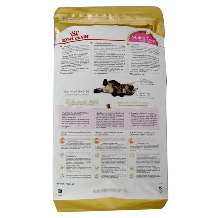 Dry food RC Kitten Main Coon for kittens of large breeds, 4 kg-1