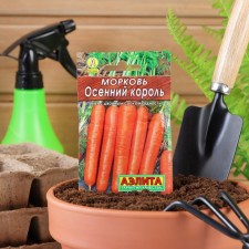 Carrots 