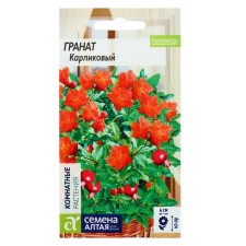 Seeds of indoor flowers grenades dwarf, pl, CP, 5 pcs.