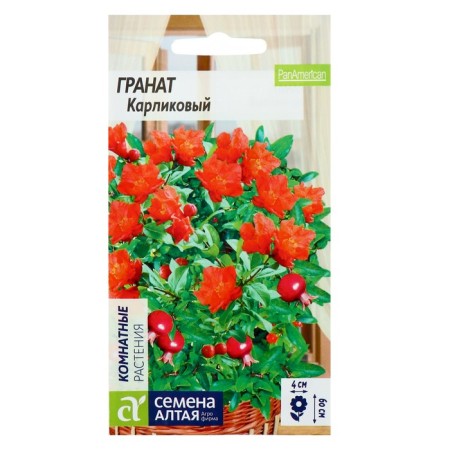 Seeds of indoor flowers grenades dwarf, pl, CP, 5 pcs.